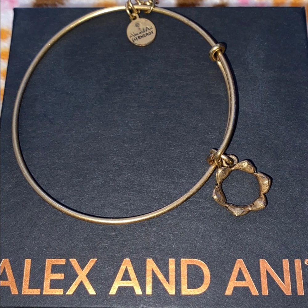 Crown Alex and Ani Bracelet